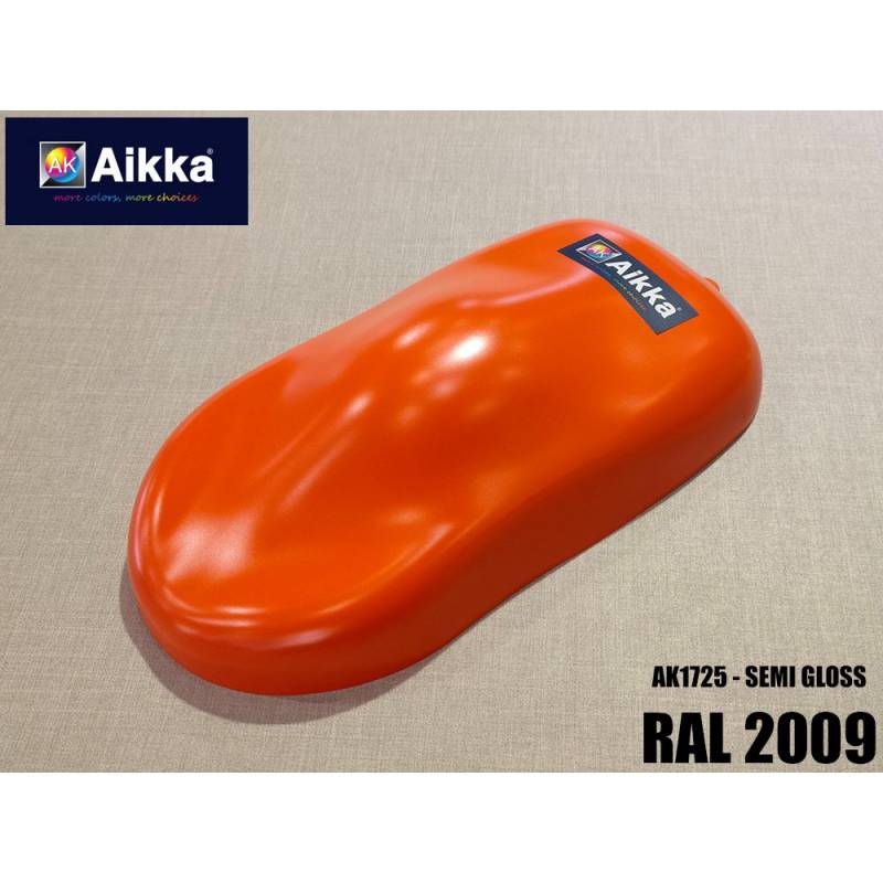 RAL2009